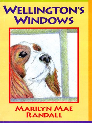 cover image of Wellington's Windows
